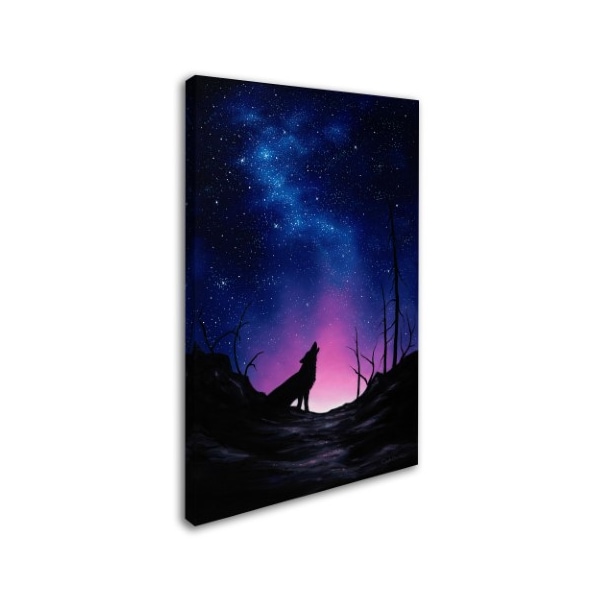 Chuck Black 'Starry Nights' Canvas Art,22x32